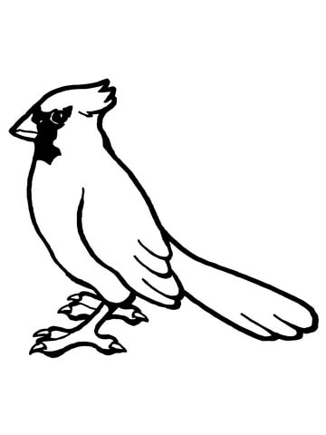 Nothern Cardinal Bird Coloring Page